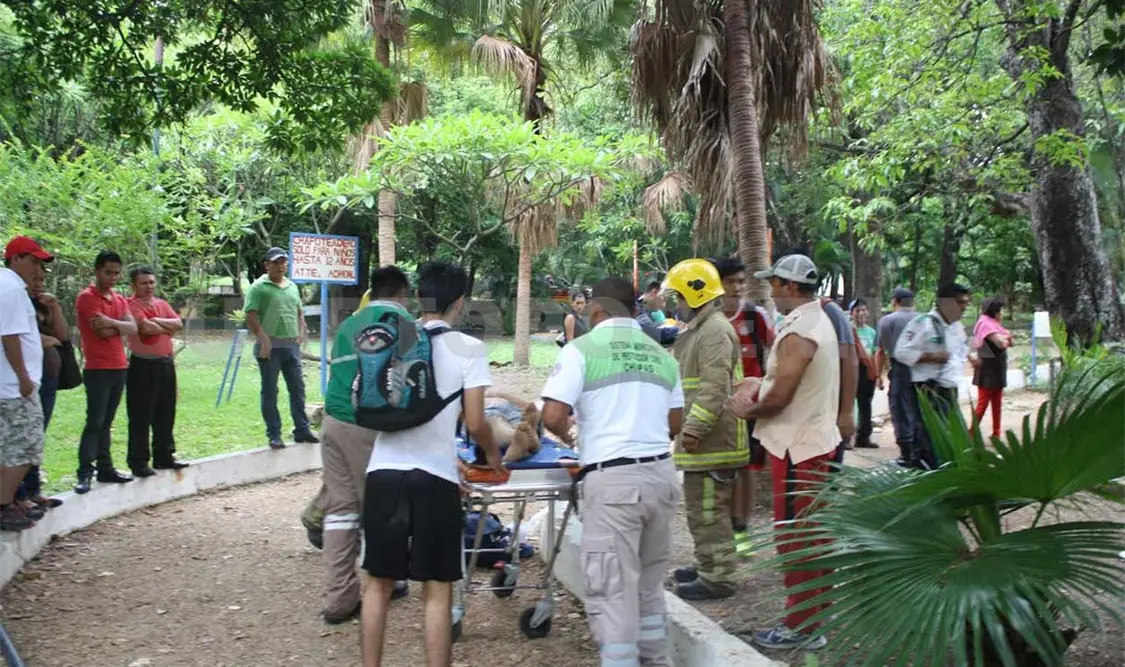 Lo rescataron de las garras de la muerte