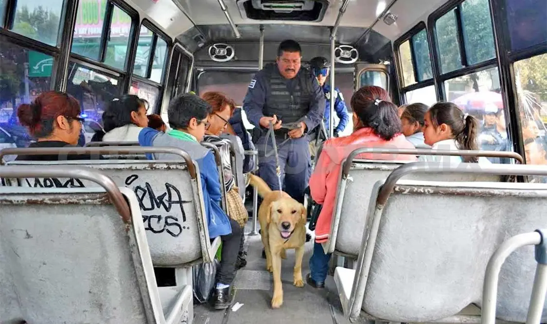 “Zeus” y “Apolo”