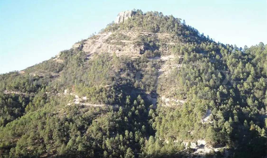 Incrementarán Áreas Naturales Protegidas