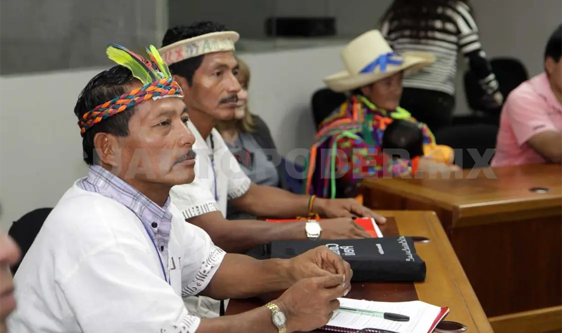 Senador pide capacitar a intérpretes