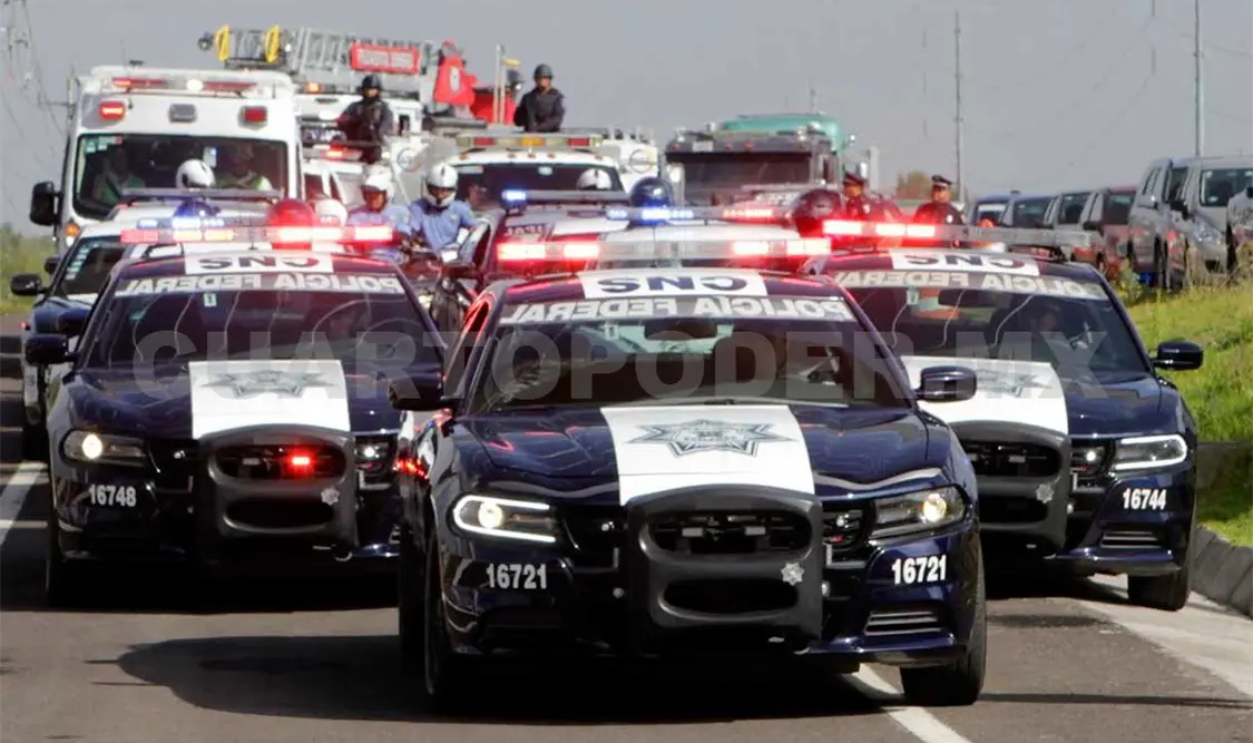 Se suma la PF al Operativo Verano