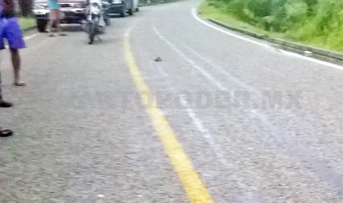 Automóvil atropella y mata a campesino