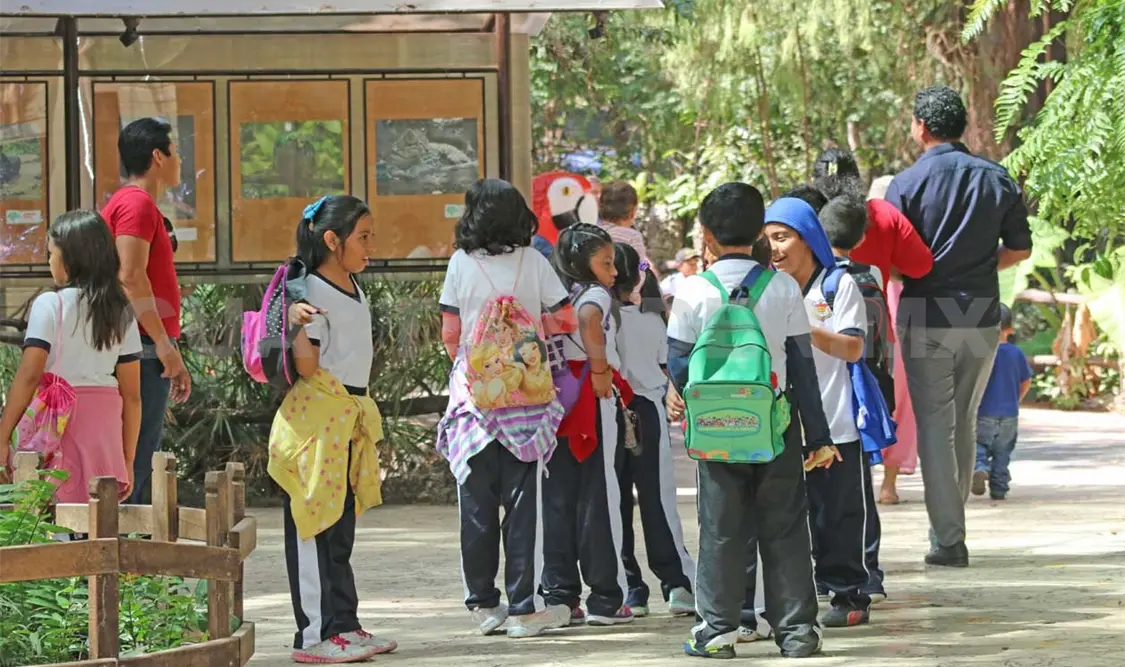 Zoomat, reconocido a nivel mundial