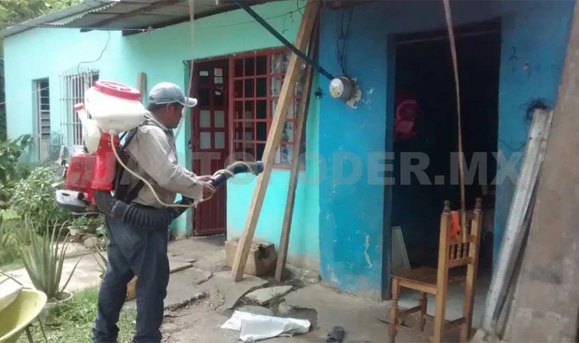 Refuerzan acciones contra el dengue y chikungunya