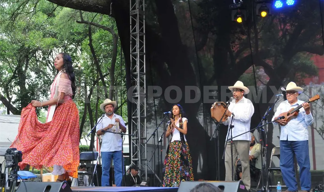 El grupo son jarocho en una de sus presentaciones