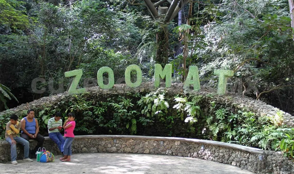 Nuevo Impulso del gobernador al ZooMAT