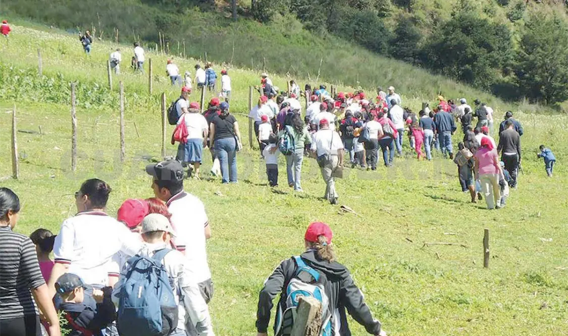 CONTINUIDAD A PROYECTO DE REFORESTACIÓN EN SCLC