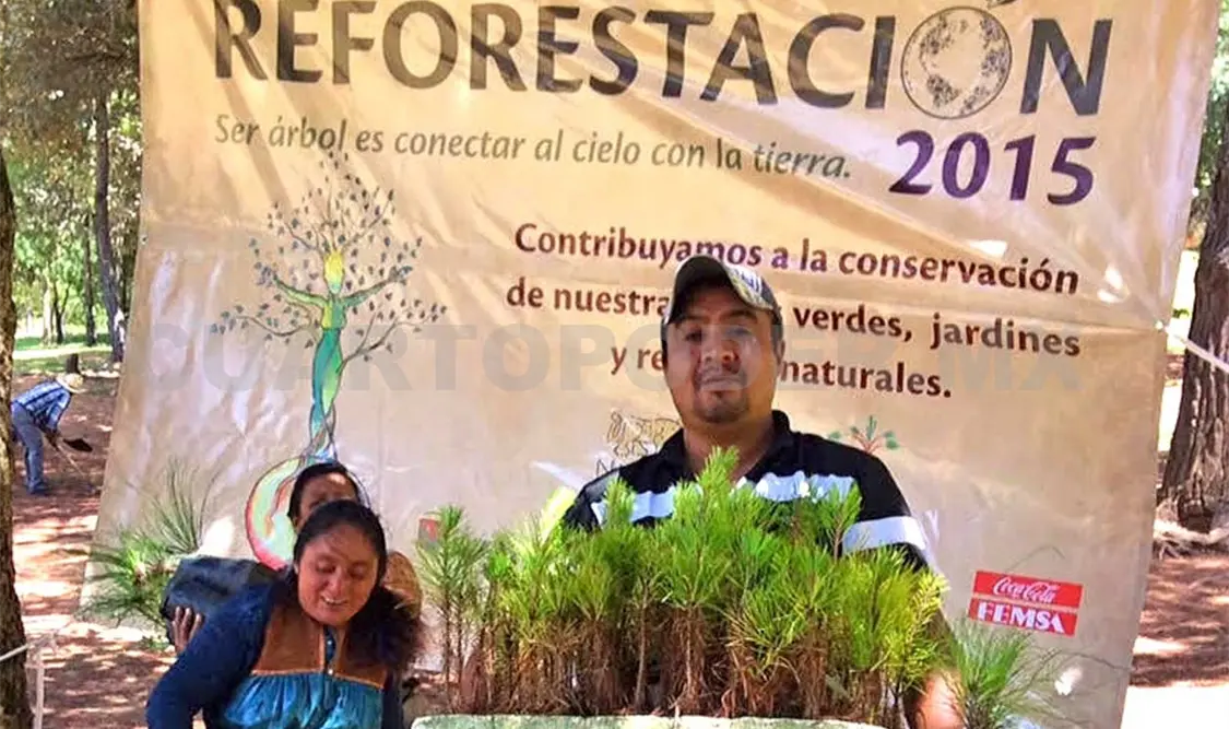 Han sembrado 100 mil árboles durante 2015