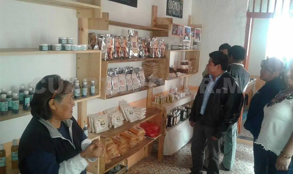 Inauguran tianguis de productos alternativos