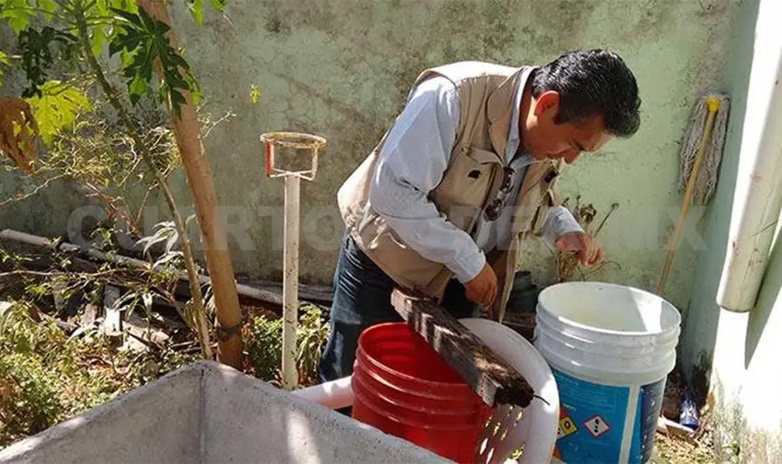 Chiapas, el estado más afectado por chikungunya