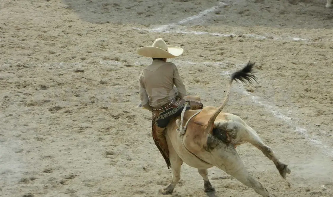 Cristo Negro gana por la Amistad Charra