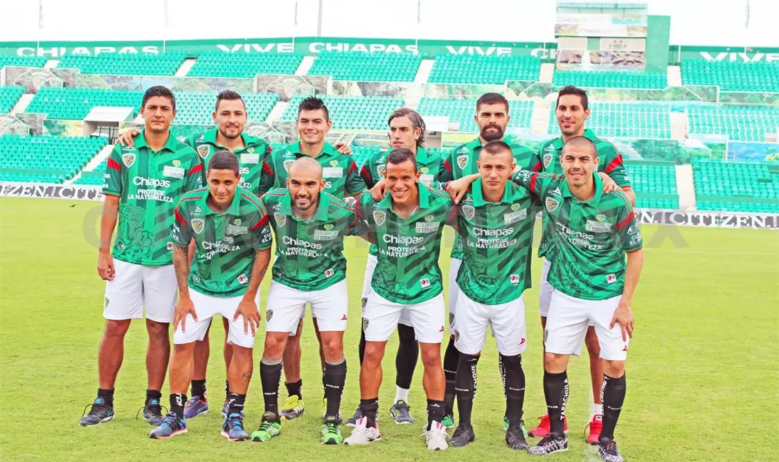 Presentan a los nuevos felinos