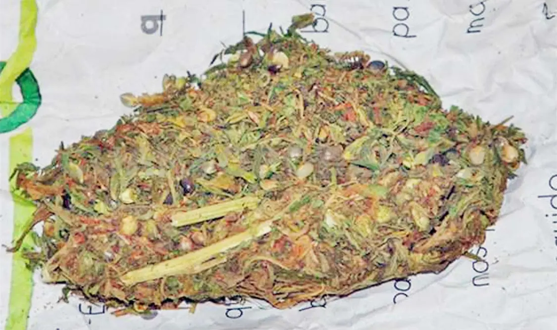 Motocicleta atropella a mujer; llevaba marihuana