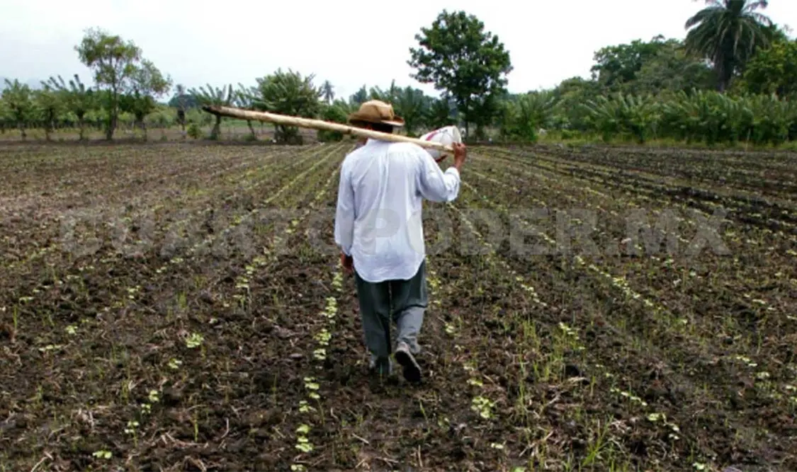 Campesinos reciben pago por sus tierras