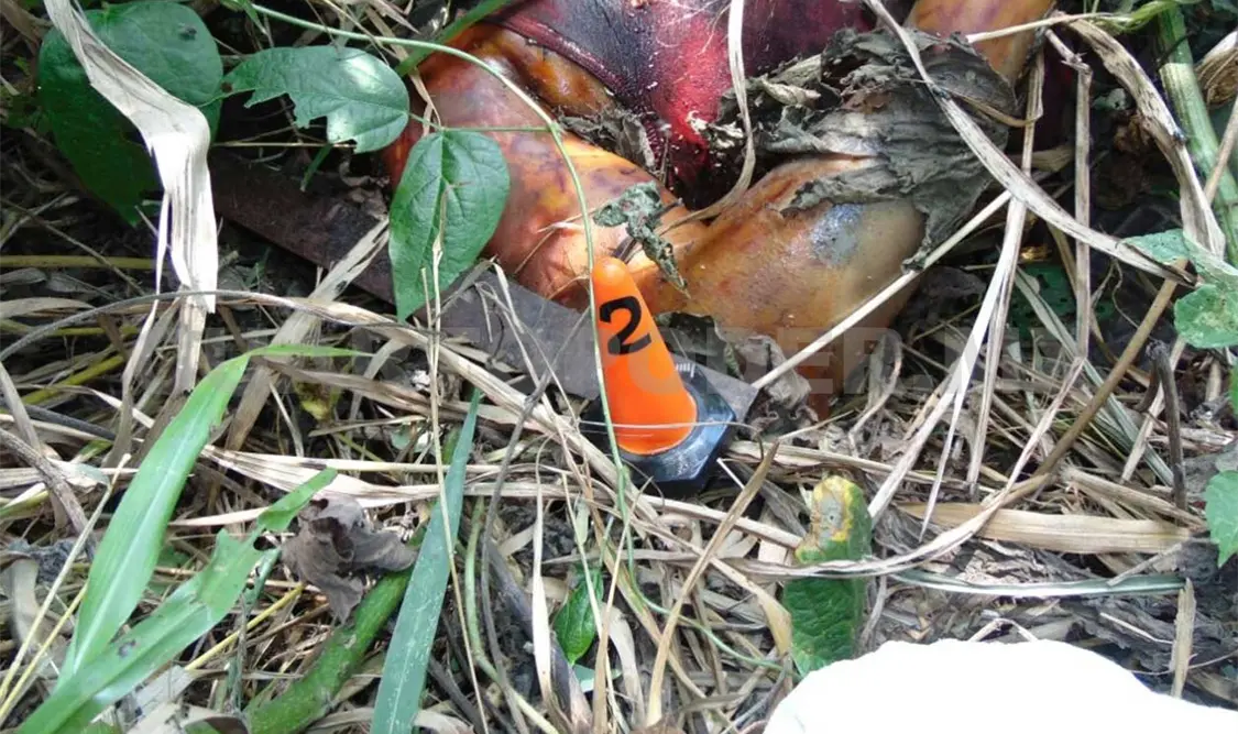 Un presunto integrante de la banda de “mara salvatrucha” “Barrio 18” fue localizado sin vida.