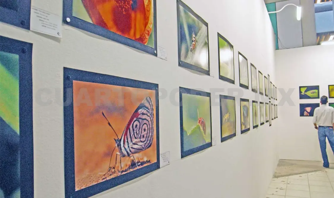 Egresados presentan exposición fotográfica