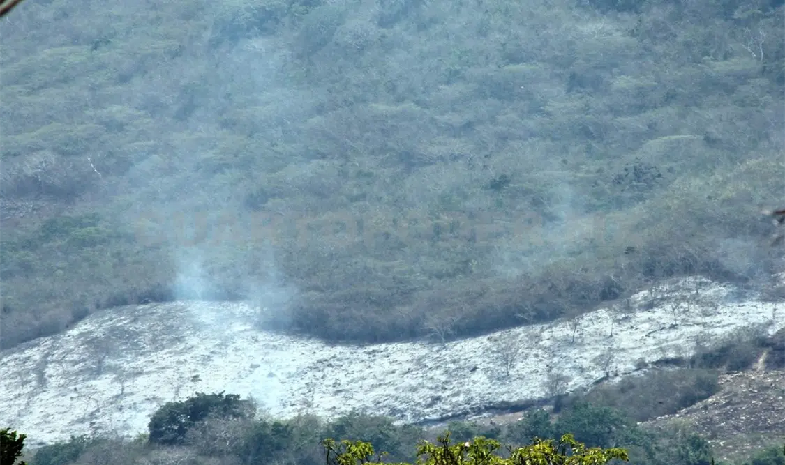 Pretenden construir Corredor iIndustrial en reserva Ecológica