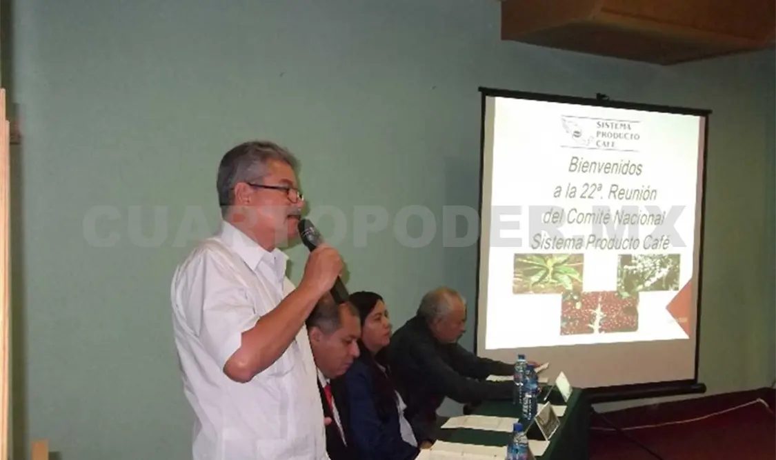 Sistema Producto Café propone fondo de apoyo