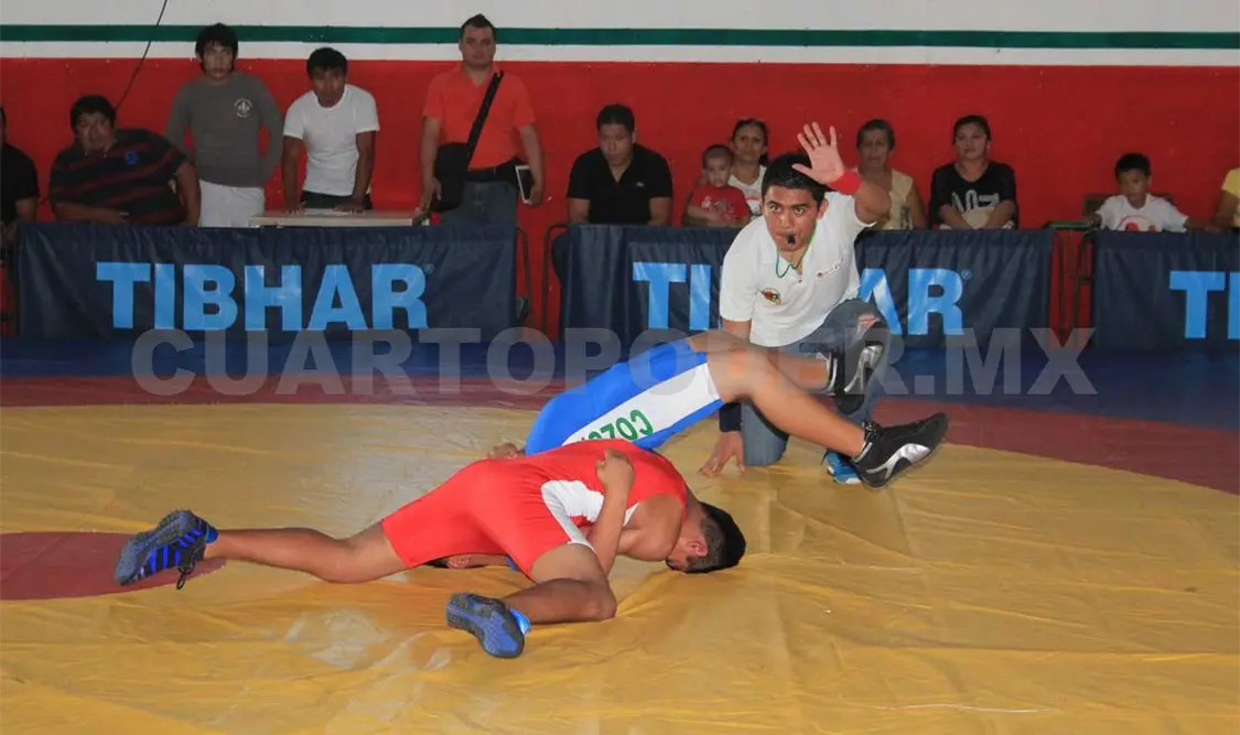 Diaz, al mando de la Federación Mexicana