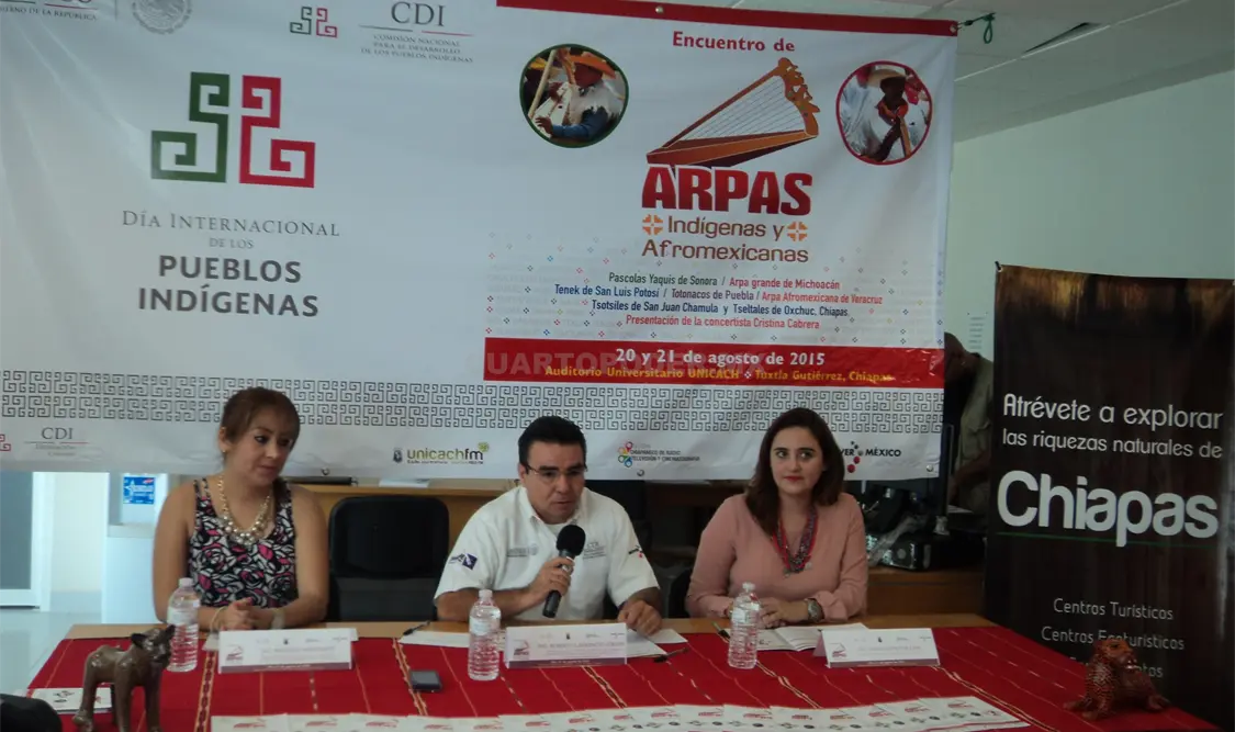 Aunque se trate de un único instrumento, el arpa adquiere diferentes connotaciones según cada pueblo originario. Guillermo Ramos / CP.