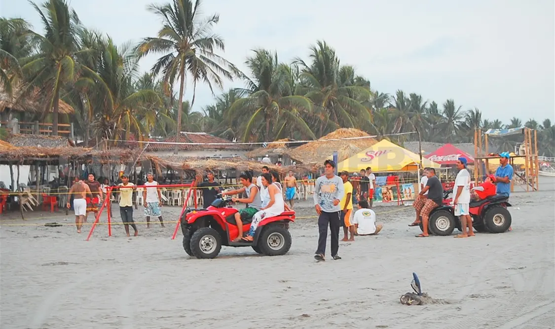 Los recorridos e inspecciones fueron realizados en zona playera. CP