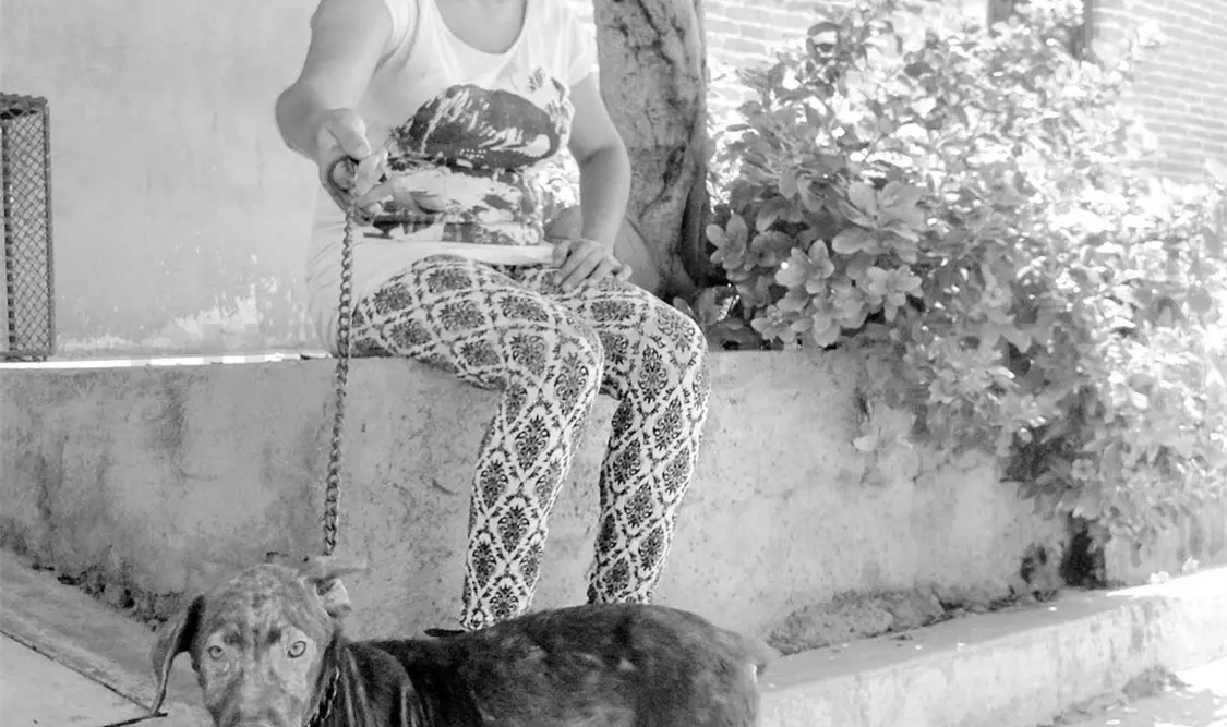 Asociación atiende animales desamparados