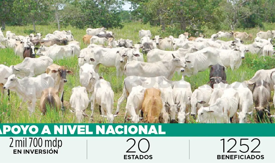 Más de un millón de hectáreas aseguradas