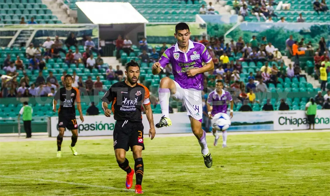 Felinos a ganar el juego y la llave