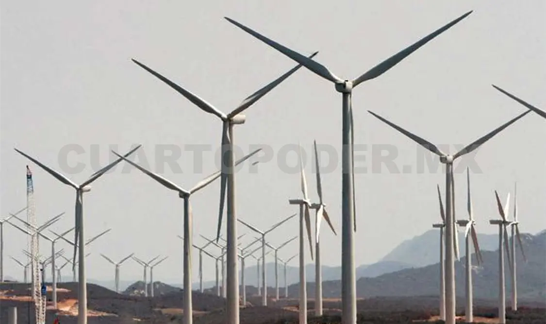 Vienen más ingresos y proyectos: Coldwell