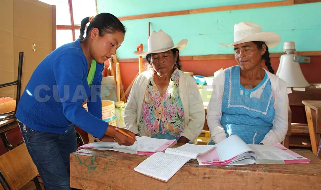 Casi 30 mil adultos estudian educación básica