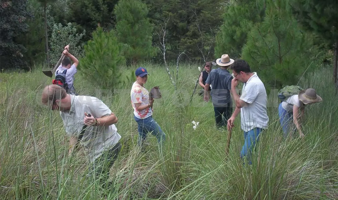 Estudiantes se sumaron a las actividades de reforestación en el municipio. CP