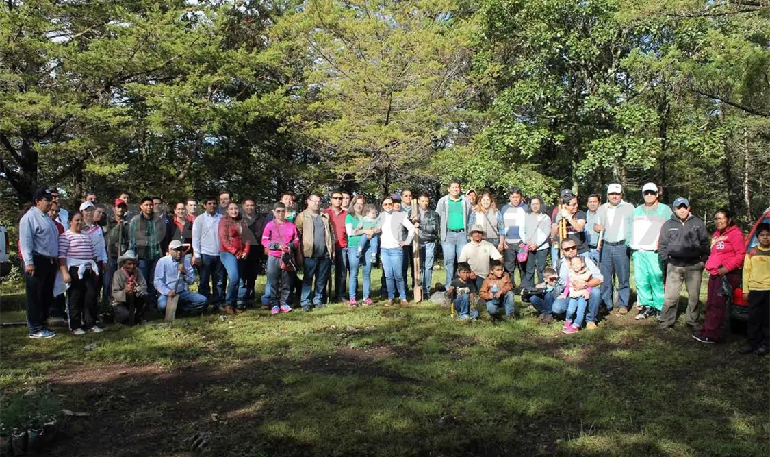 Realizan campaña de reforestación