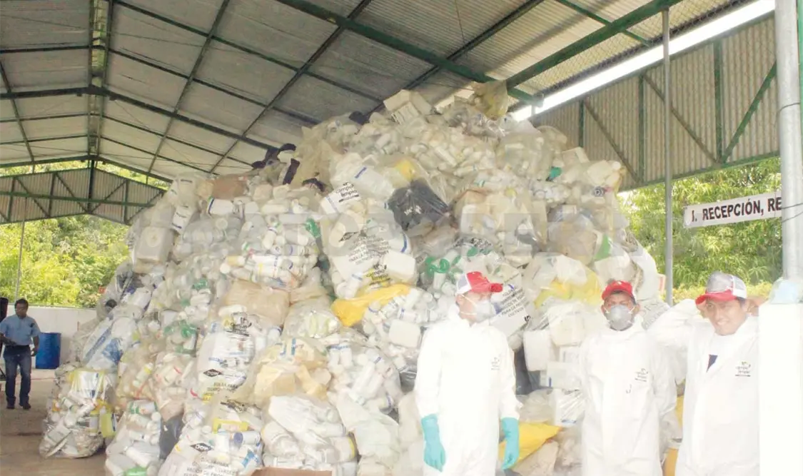 COLECTA DE ENVASES DE PLAGUICIDA EN LA REGIÓN