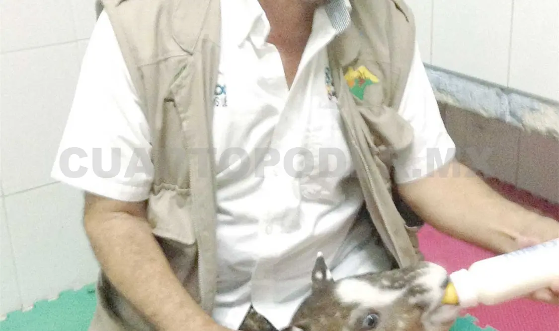 ZooMAT presenta nuevos huéspedes