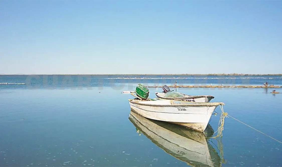 Entregarán 14.4 mdp a pescadores en Chiapas