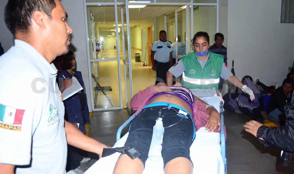 Familia intoxicada por consumir semillas de piñón