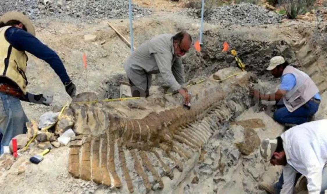 Foto de los conservadores trabajando. Agencias