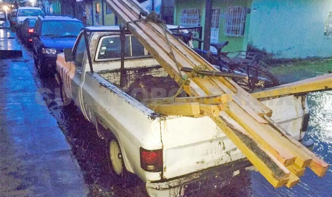 Asegura FEPADA vigas de “chiche” en Tuxtla Chico