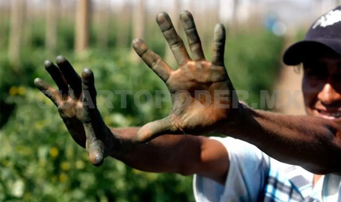 El apoyo beneficiará a 18 mil 474 personas. Agencias