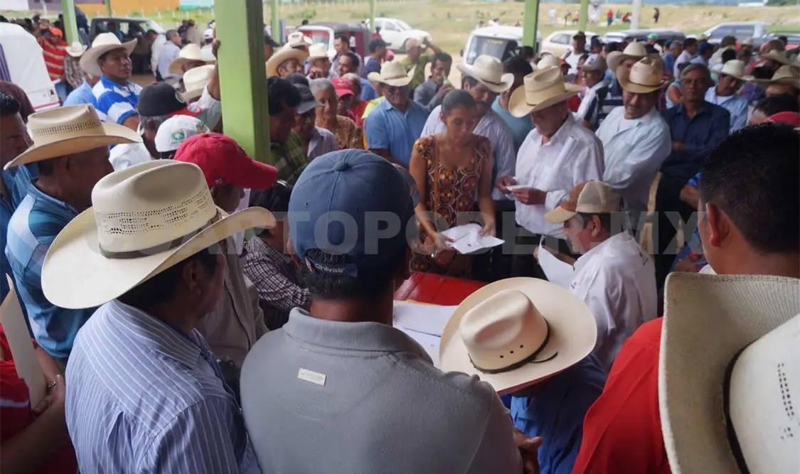 Pagan Seguro Agrícola 2014