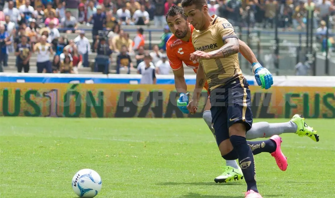 Pumas está tranquilo con liderato general