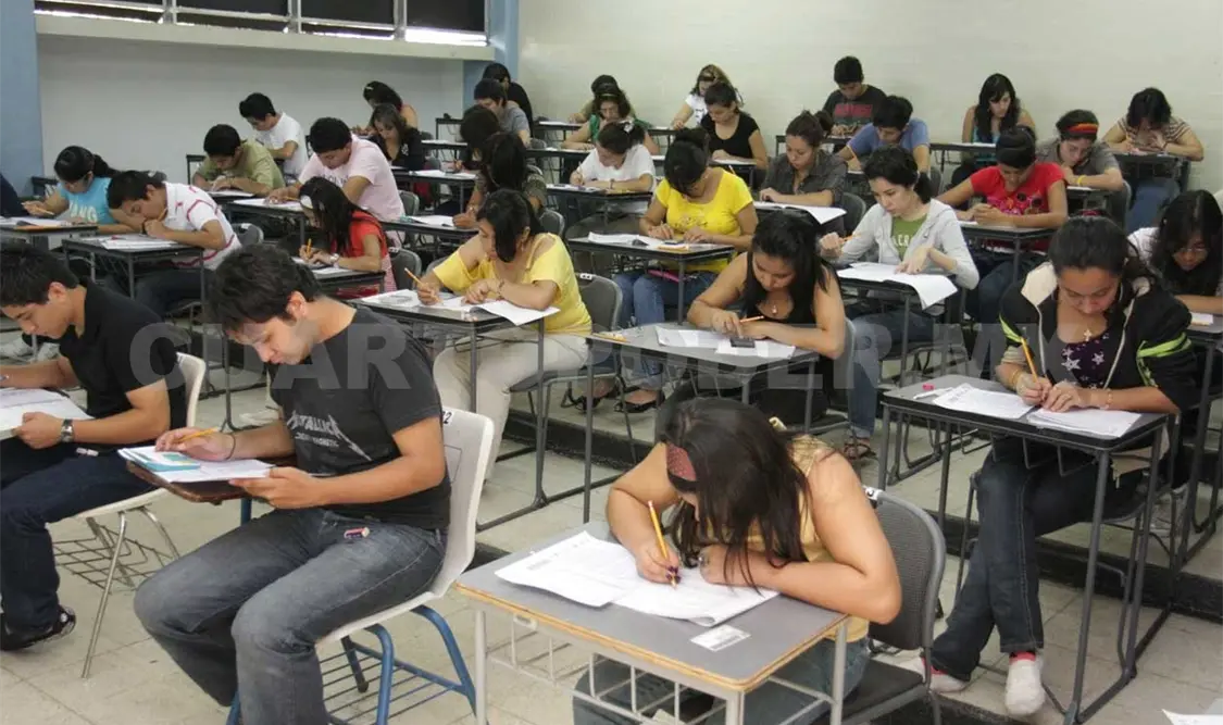 Sin estudiar ni trabajar 22%