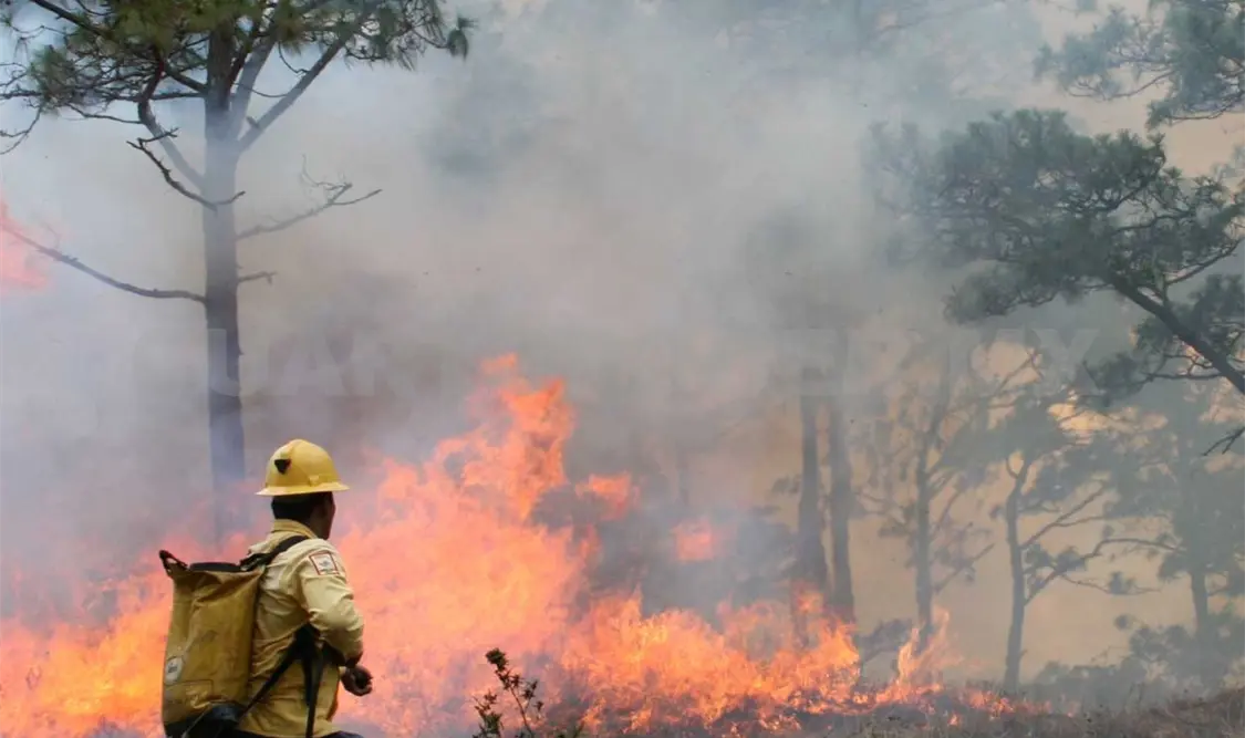 Chiapas, de los más afectados por incendios. Agencias