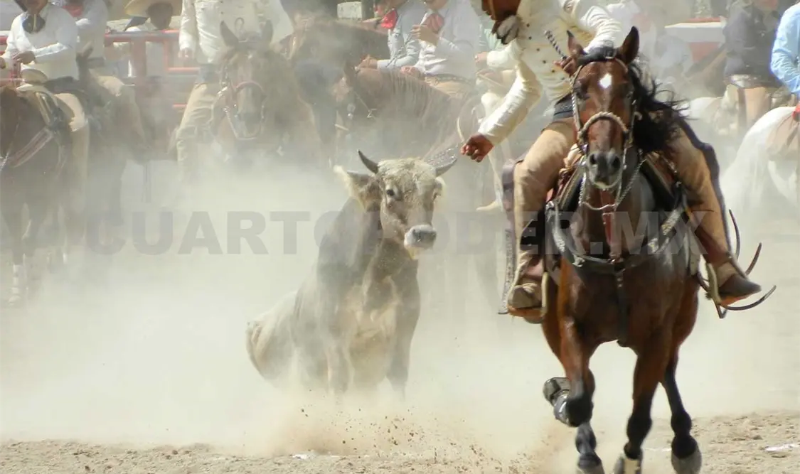 Gran evento el II Pialadero y Coleadero Entre Amigos Rancho San Rafael 2015. Cortesía