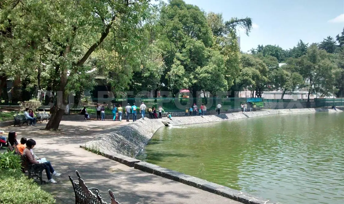 El bosque de Chapultepec. Agencias