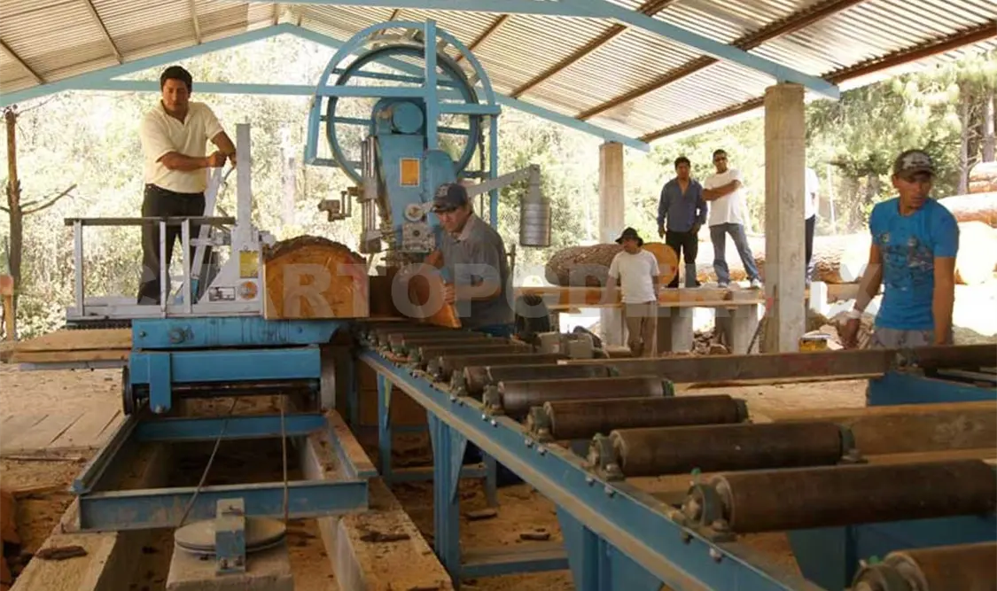 Hacer productivos los bosques propone semarnat