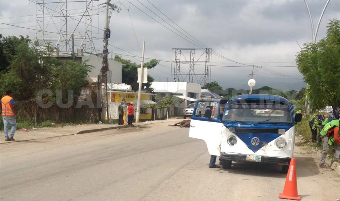 Combi embiste caballo en carretera
