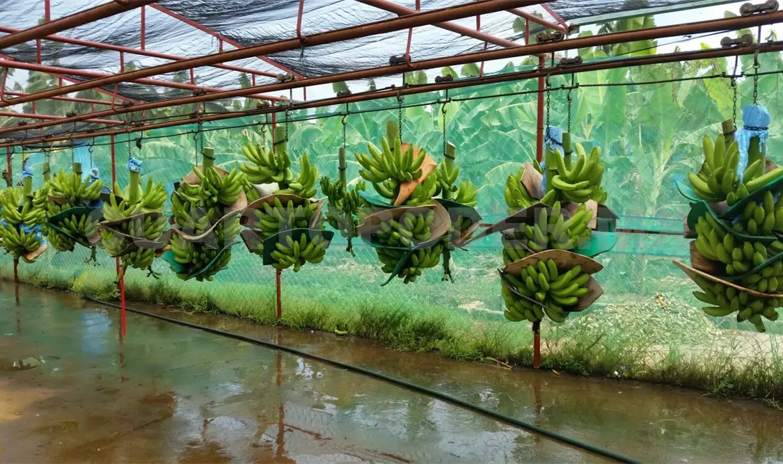 Ley complementaria impulsará sector productivo en territorios vinculados con la ZEE * CP.