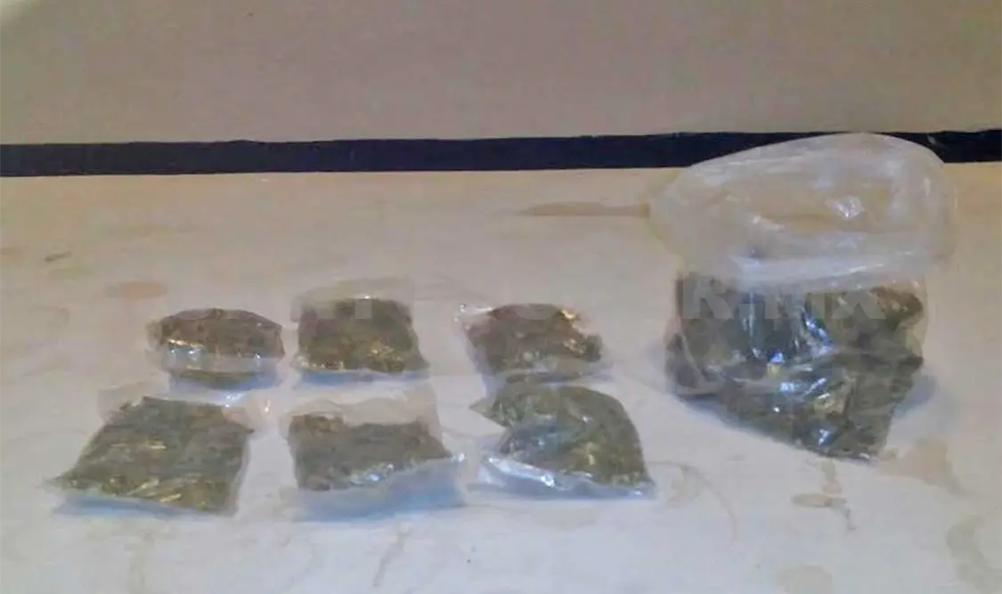 Marihuana decomisada en el municipio de Palenque.