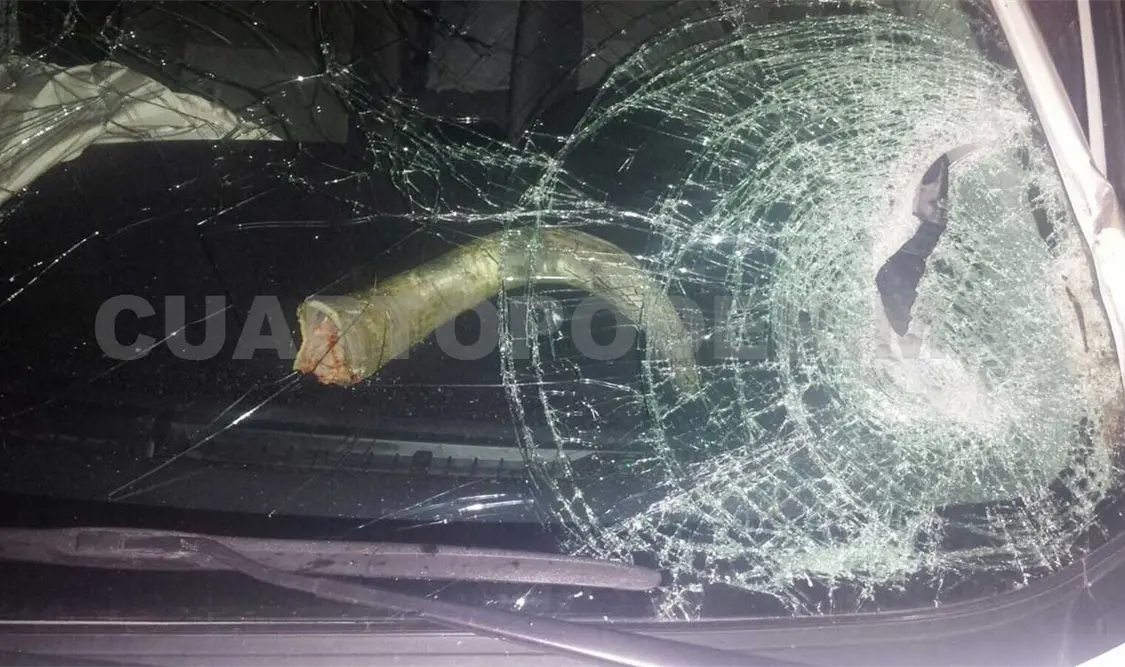 Procurador sufre accidente carretero